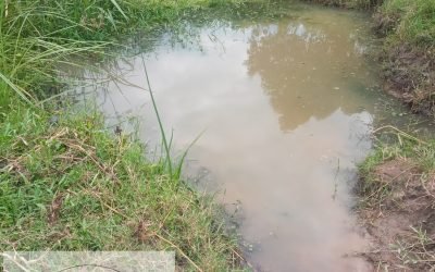 Donate a Borehole or a Water Well