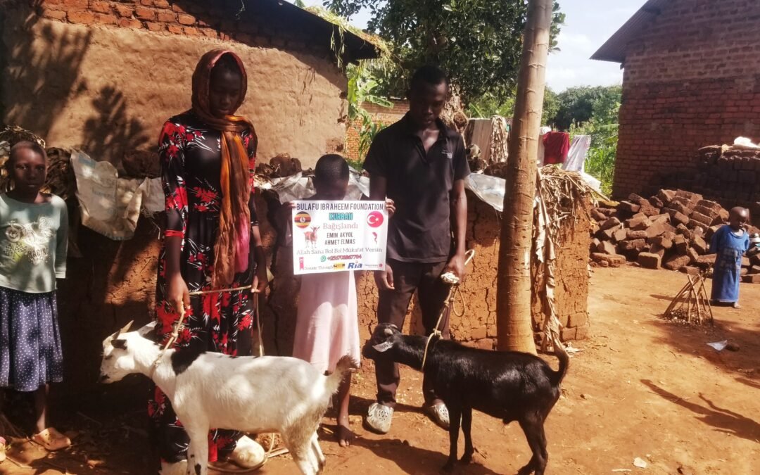 Qurban (2 Goats) Donation from Turkey 🇹🇷 2025/1446AH