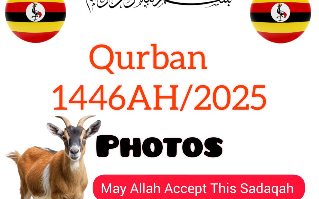 Qurban Eid 1446AH/2025 (Photos) Uganda 🇺🇬