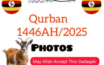 Qurban Eid 1446AH/2025 (Photos) Uganda 🇺🇬
