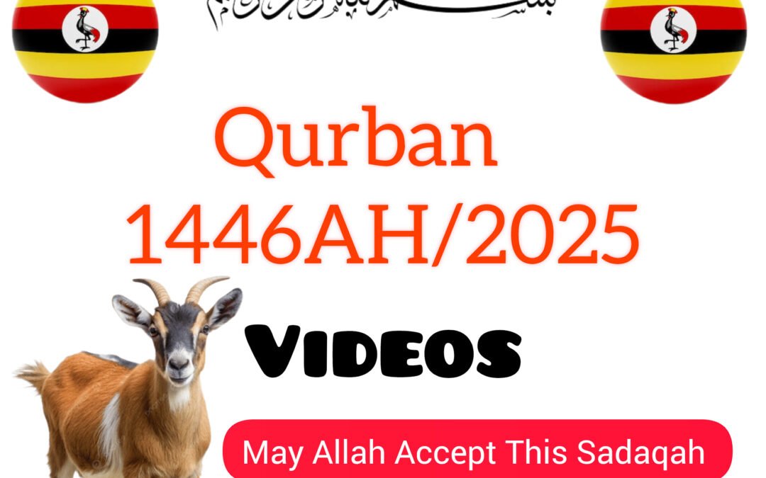 Qurban Eid 1446AH/2025 (Videos) Uganda 🇺🇬