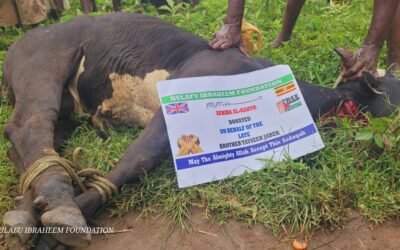 Cow donation to the Needy Community