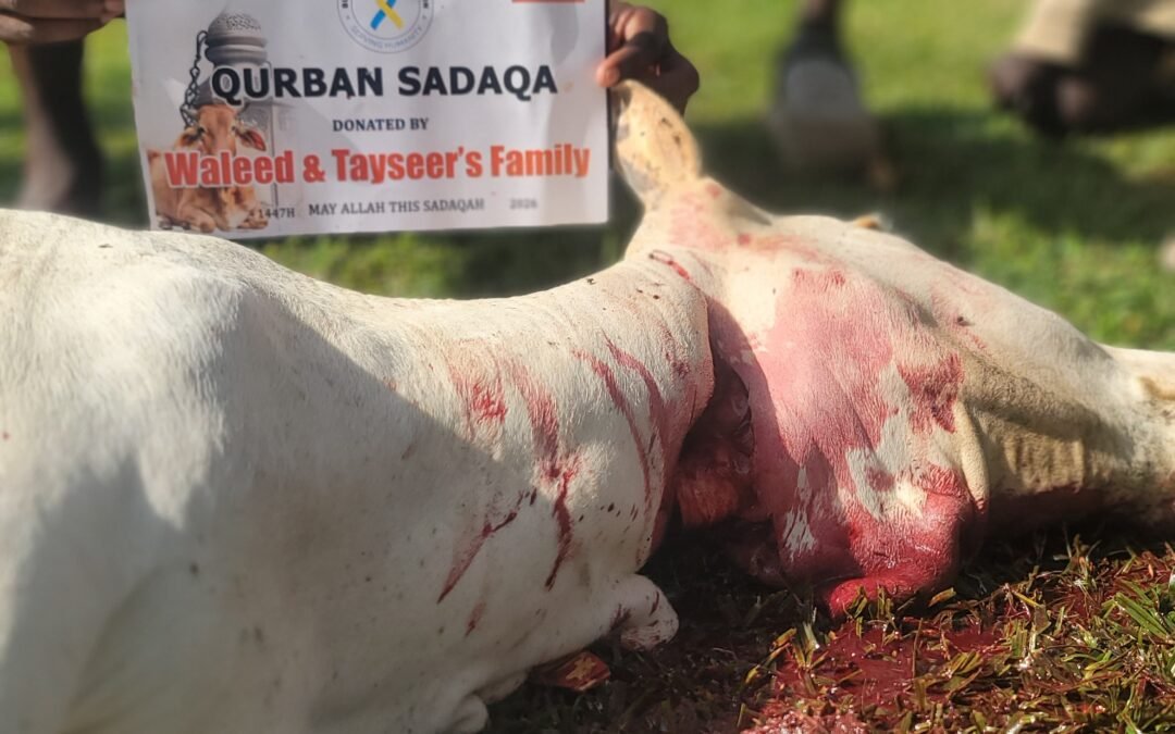 Qurban Donation (Cow) 🇺🇬 1447AH/2026
