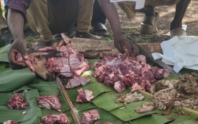 Qurban 1447AH/2026 🇺🇬 Sheep Donation